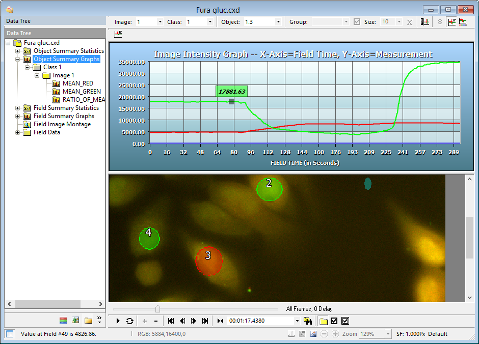 DIA Data Document